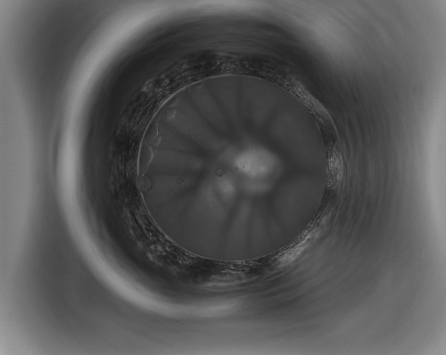X0000116420765200912150958