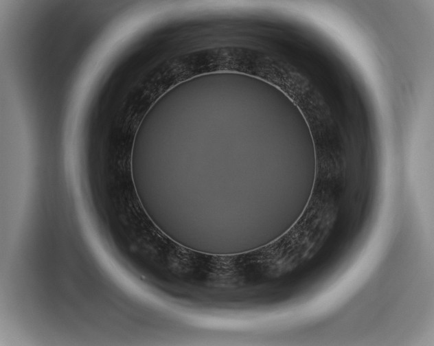 X0000116420766200912150958