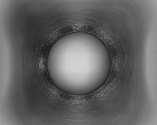 X0000116420770200912150957