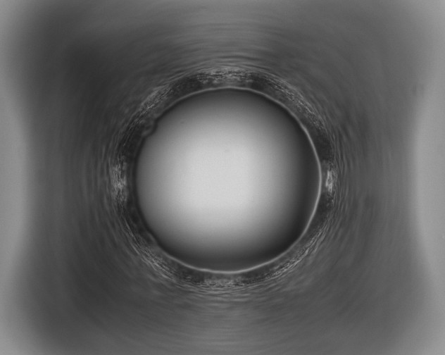 X0000116420771200912150957