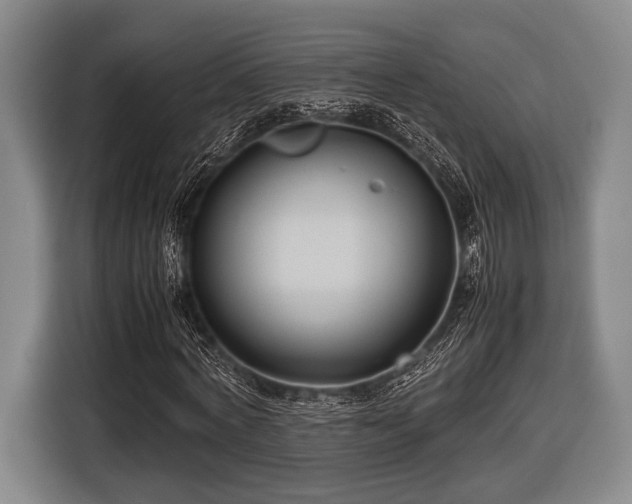 X0000116420772200912150957