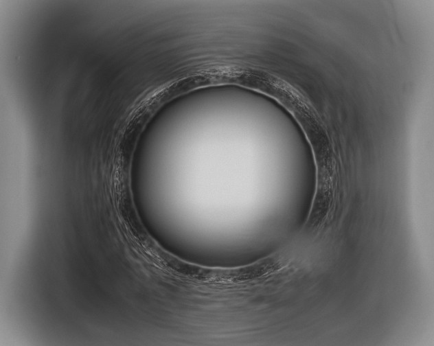 X0000116420773200912150957