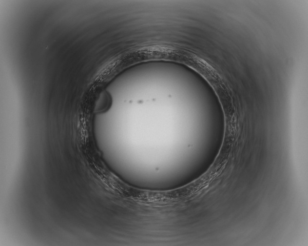 X0000116420774200912150957