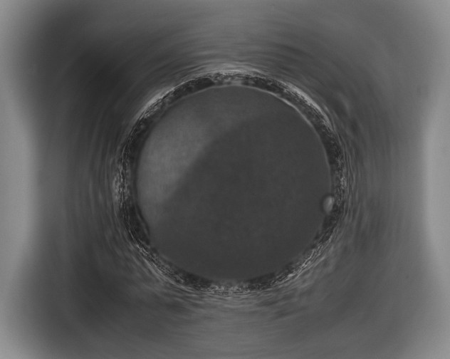 X0000116420775200912150957