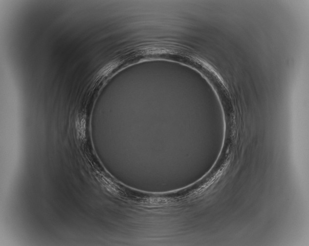 X0000116420777200912150957