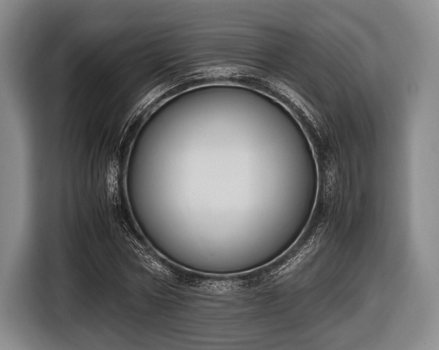 X0000116420778200912150957
