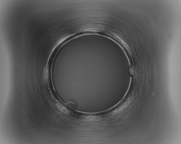 X0000116420779200912150957