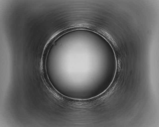 X0000116420780200912150957