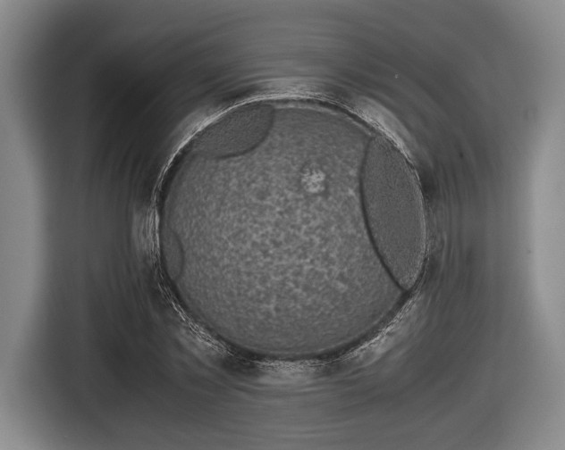 X0000116420781200912150957