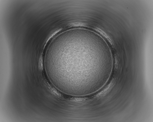 X0000116420782200912150957