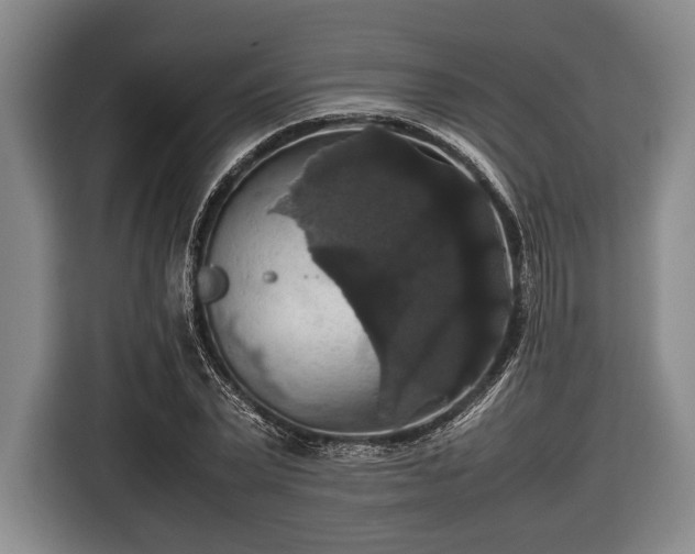 X0000116420783200912150957