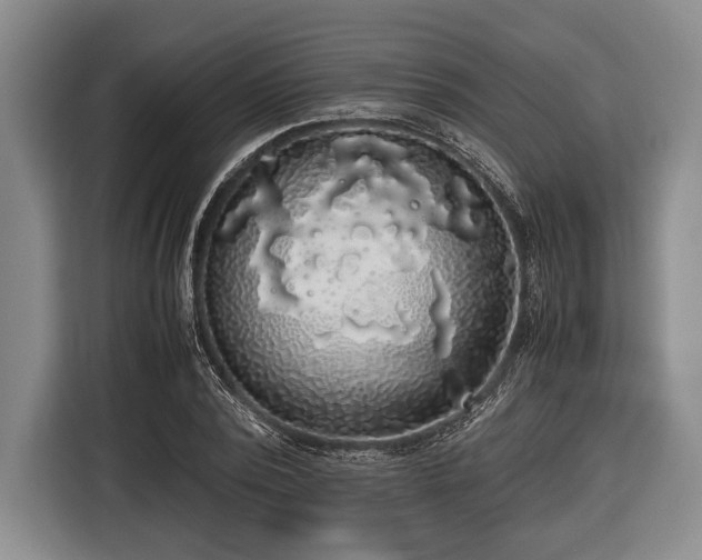 X0000116420784200912150957