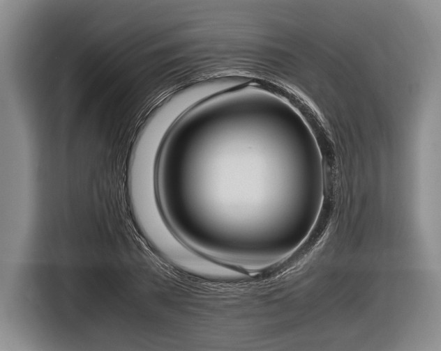 X0000116420785200912150957