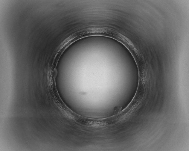 X0000116420786200912150957