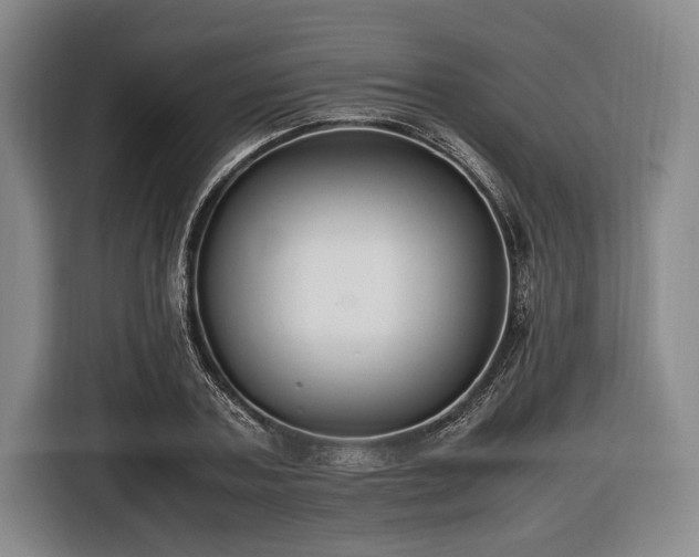 X0000116420787200912150957