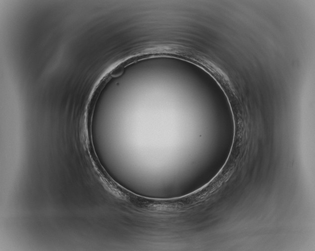 X0000116420792200912150957
