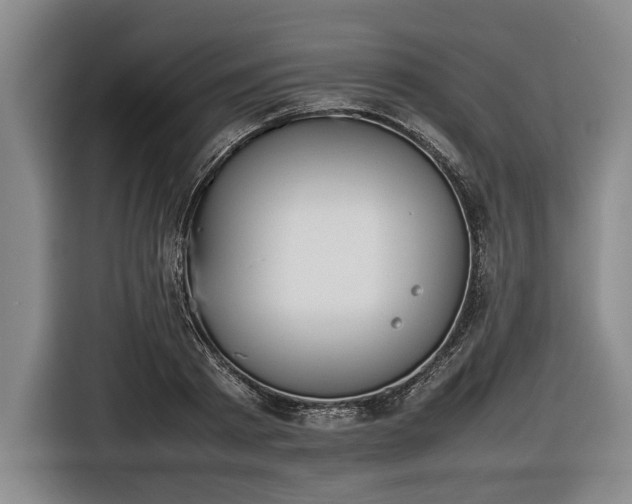 X0000116420793200912150957