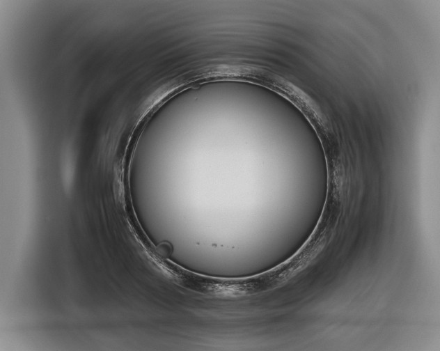 X0000116420794200912150957