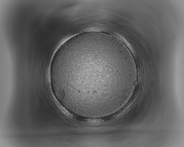X0000116420795200912150957