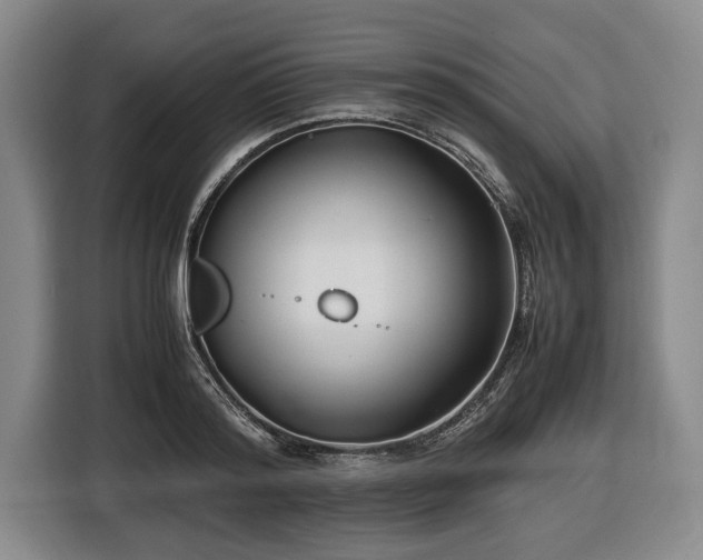 X0000116420796200912150957