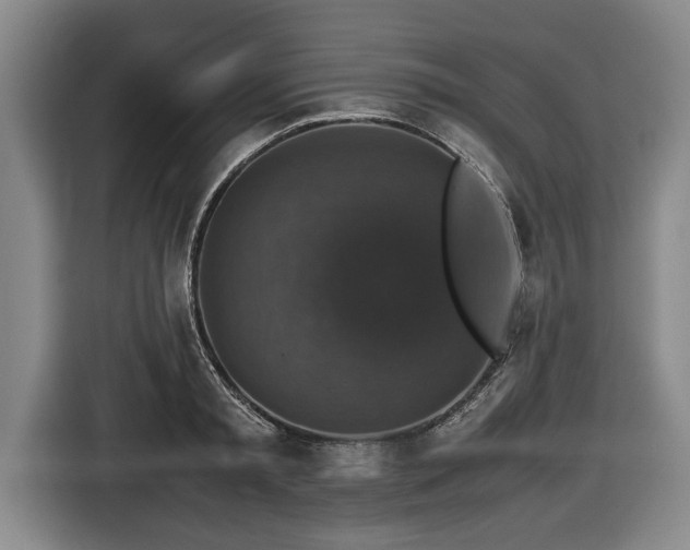 X0000116420797200912150957