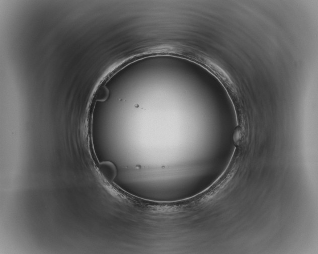 X0000116420800200912150957