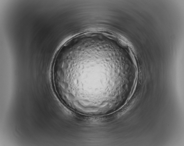 X0000116420803200912150957