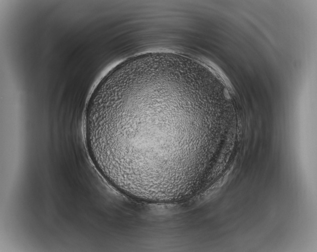 X0000116420804200912150957