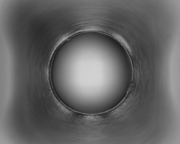 X0000116420805200912150957