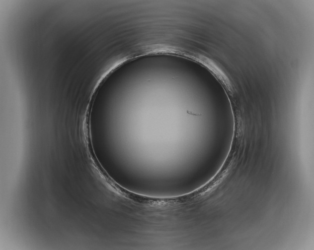 X0000116420806200912150957