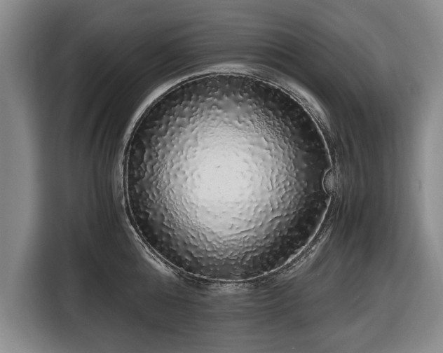 X0000116420808200912150957