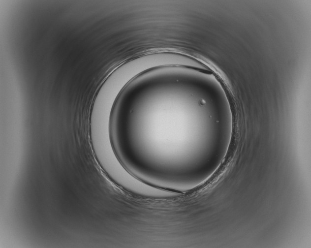 X0000116420809200912150957
