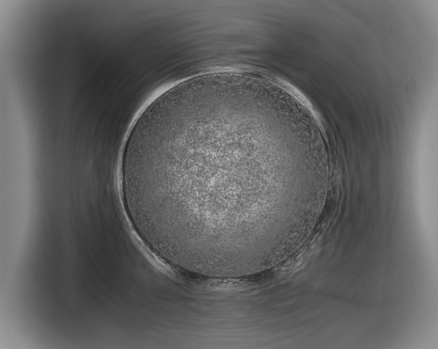 X0000116420811200912150957