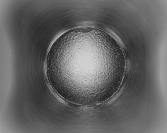 X0000116420812200912150957