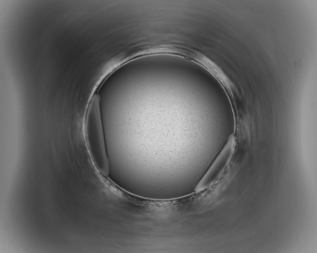 X0000116420813200912150957