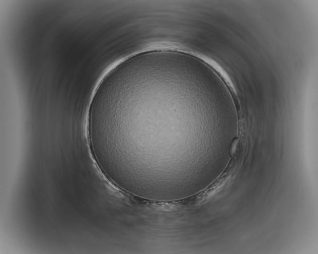 X0000116420815200912150957