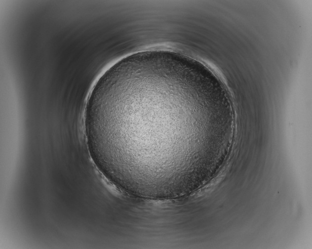X0000116420816200912150957