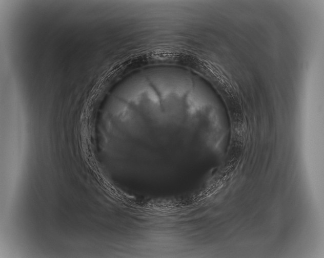 X0000116420817200912150956