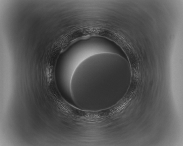 X0000116420818200912150956