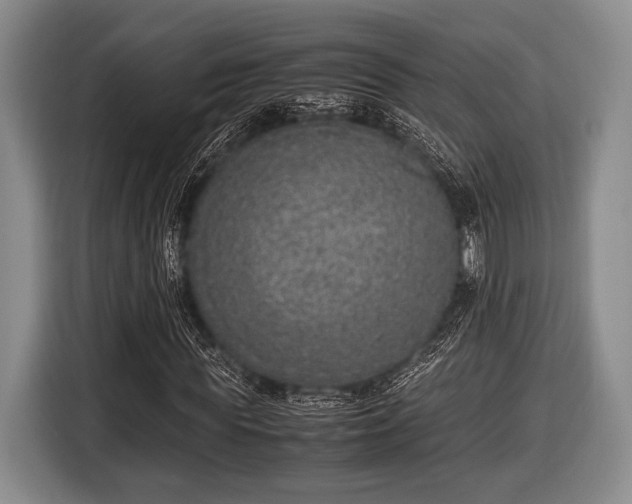 X0000116420819200912150956