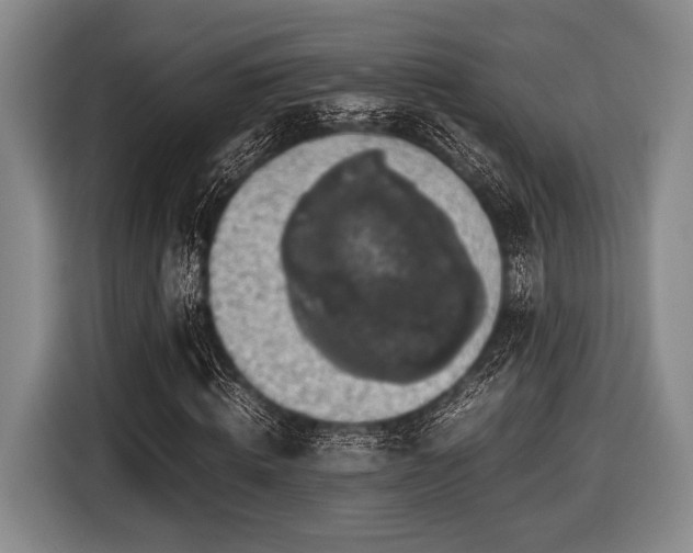 X0000116420820200912150956