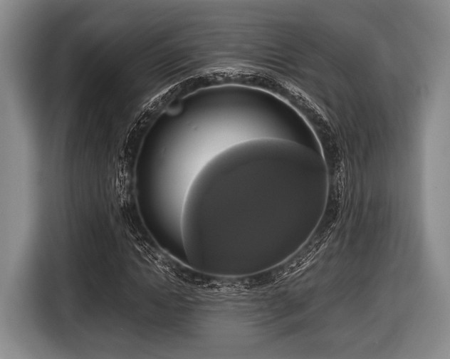 X0000116420822200912150956