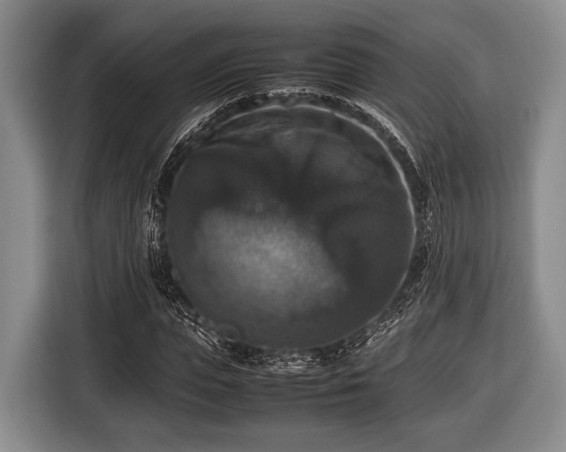 X0000116420823200912150956