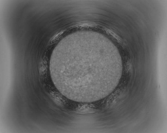 X0000116420824200912150956