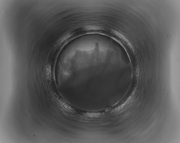 X0000116420825200912150956