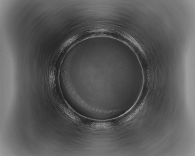 X0000116420826200912150956