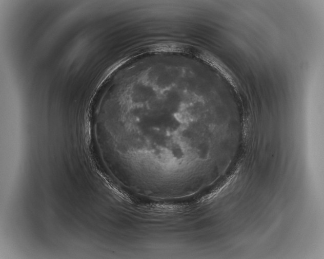 X0000116420829200912150956
