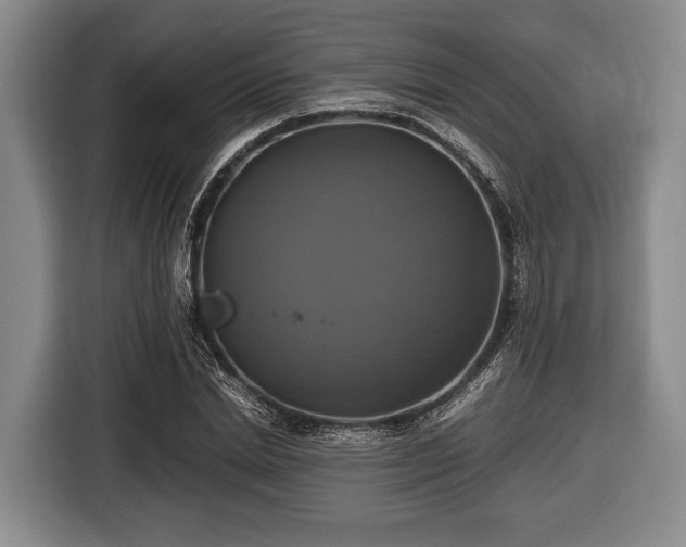 X0000116420830200912150956