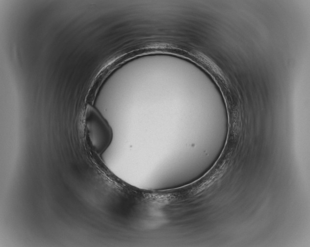 X0000116420831200912150956