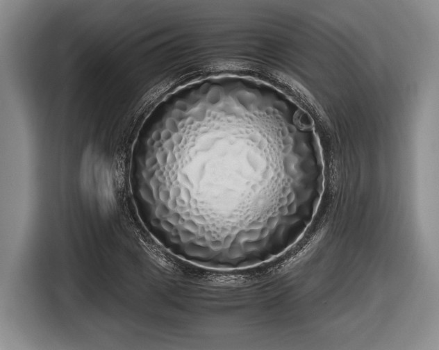 X0000116420833200912150956